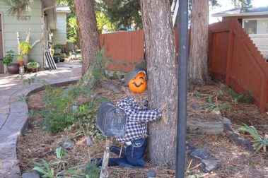 2018 Business Entry - First Place Winner