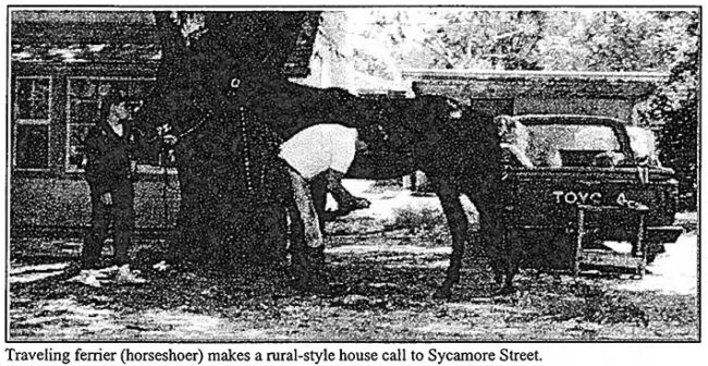 sycamore-overlay-featured Travelling ferrier (horseshoer) makes a rural-style house call on Sycamore Street