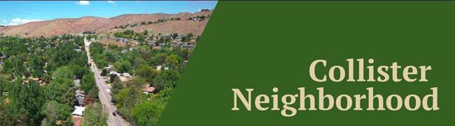 CollisterNeighNewsletter